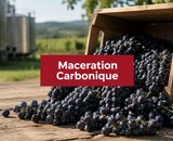 Ontdek maceration carbonique: smaakexplosie onthuld