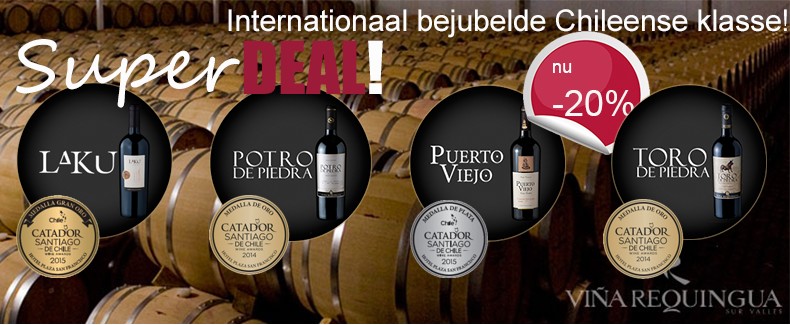 Superdeal Chileense top wijnen. Nu met 20% korting!