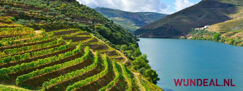 Topwijn uit Portugal? Ja!