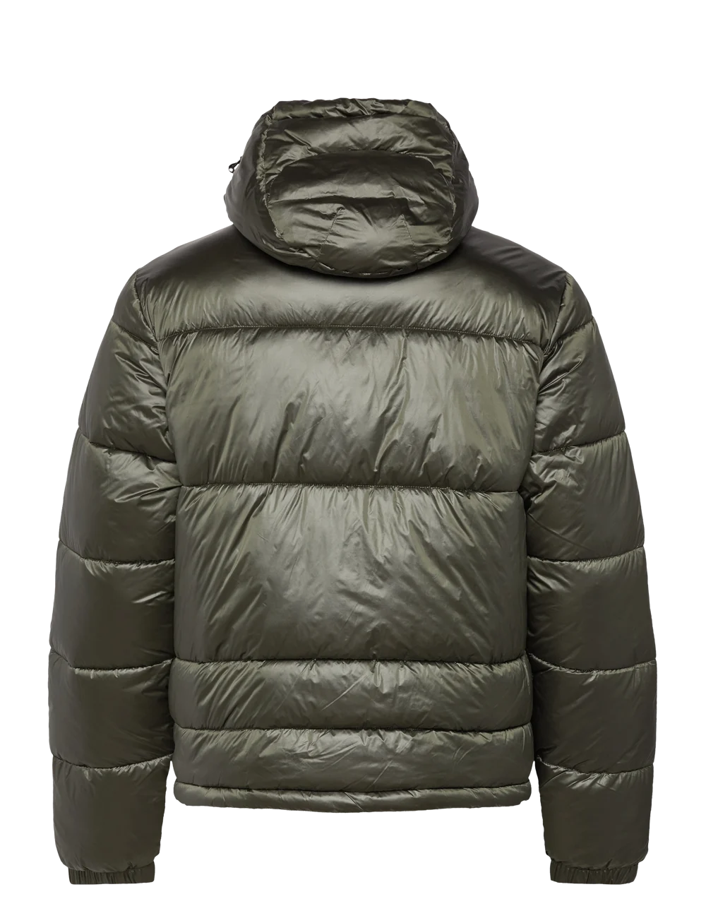 Emporio Armani Heren Winterjas, donkergroen