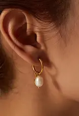 Amore 14K Verguld Dames Zoetwaterparel Oorbellen, goud