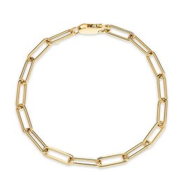 Amore 14K Verguld Roestvrijstaal Schakelarmband, goud