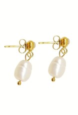 Amore 14K Verguld Roestvrijstalen Zoetwaterparel Oorbellen, goud