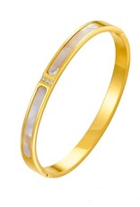 Laura Lombardi Dames Stalen goldplated armband glad breed, Goudkleurig