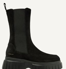 Nubikk SUEDE Enkellaarzen, zwart