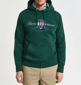 GANT Grafische Hoodie, groen