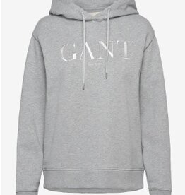 GANT GRAPHIC Hoodie met capuchon, grijs