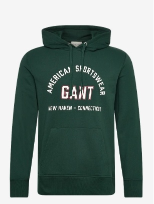GANT Graphic Heren Hoodie met capuchon, groen