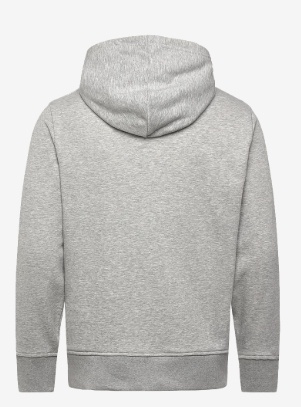 GANT Graphic Heren Hoodie met capuchon, grijs