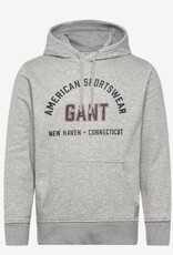 GANT Graphic Heren Hoodie met capuchon, grijs