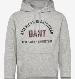 GANT Graphic Hoodie met capuchon, grijs