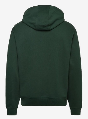 HUGO Heren Hoodie met capuchon, groen