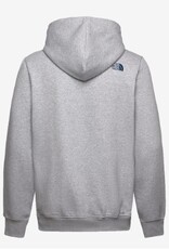 The North Face Graphic Heren Hoodie met capuchon, grijs