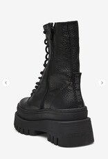 Steve Madden Dames Hoge Veterlaarzen, zwart