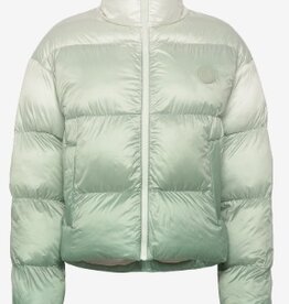 HUGO BLUE Gewatteerde Winterjas, groen