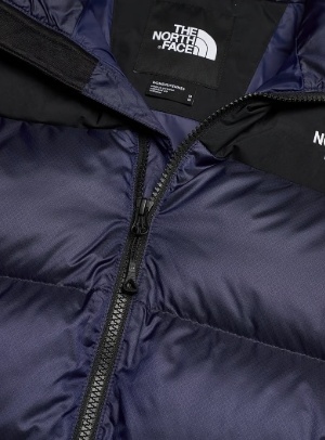 The North Face Dames Korte Dons Gewatteerde Winterjas, blauw