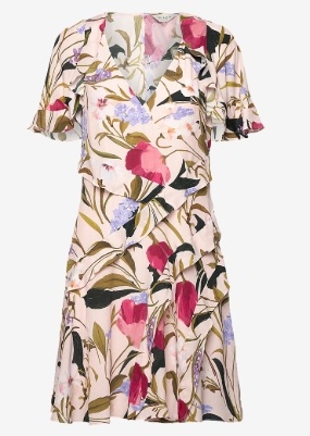 Ted Baker London Dames Flora Korte Jurk, multi