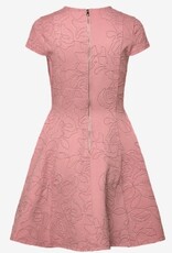 Ted Baker London Dames  Korte Skaterjurk, roze