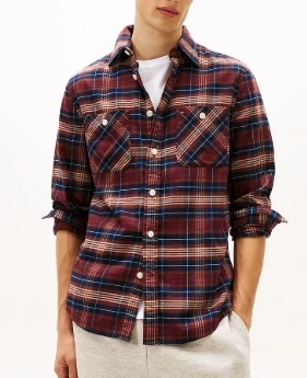 Tommy Hilfiger Heren Casual Geruite Overhemd, blauw