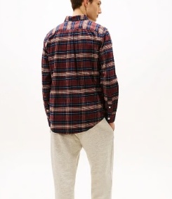 Tommy Hilfiger Heren Casual Geruite Overhemd, blauw