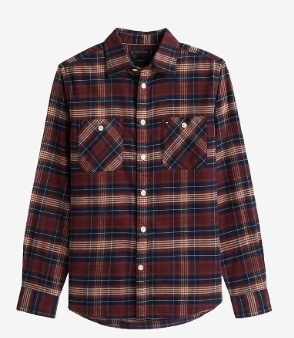 Tommy Hilfiger Heren Casual Geruite Overhemd, blauw