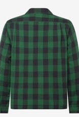 Polo Ralph Lauren Heren Casual Geruite Overhemd, groen