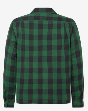 Polo Ralph Lauren Heren Casual Geruite Overhemd, groen