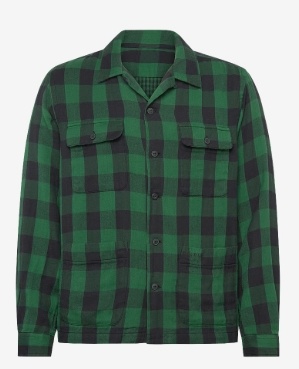 Polo Ralph Lauren Heren Casual Geruite Overhemd, groen