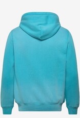 Polo Ralph Lauren Heren Fleece Beer Hoodie, lichtblauw