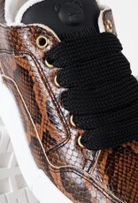 Moschino Dames Leren Sneakers, bruin