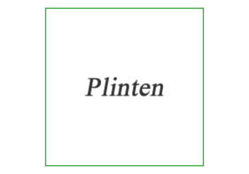 Plinten