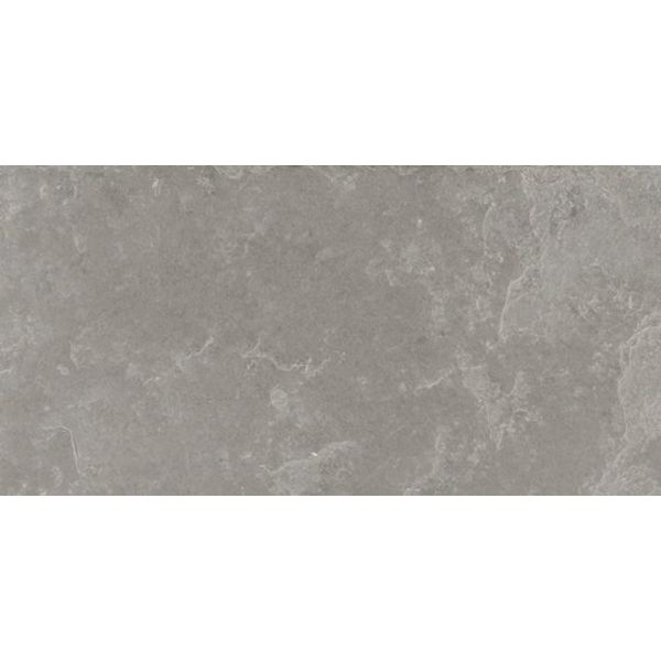 Douglas Jones Fusion 30X60 Bright Grey naturale, afname per doos van 1,08 m²