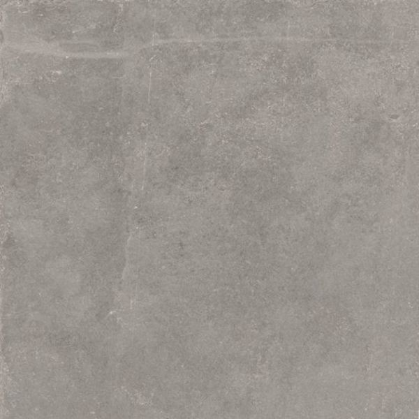 Douglas Jones Fusion 60X60 Bright Grey naturale, afname per doos van 1,08 m²