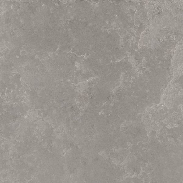 Douglas Jones Fusion 60X60 Bright Grey naturale, afname per doos van 1,08 m²