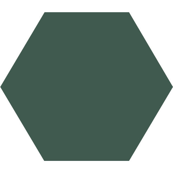 Winckelmans Hexagon 10 cm Vert Fonce (VEF), 9 mm dik, afname per doos van 0,42 m²