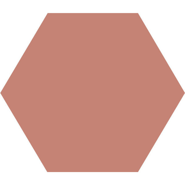 Winckelmans Hexagon 10 cm Vieux Rose (RSV), 9 mm dik, afname per doos van 0,42 m²