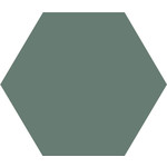 Winckelmans Hexagon 10 cm Vert (VEU), 9 mm dik, afname per doos van 0,42 m²