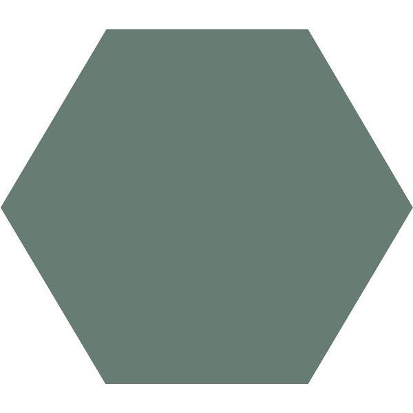 Winckelmans Hexagon 10 cm Vert (VEU), 9 mm dik, afname per doos van 0,42 m²