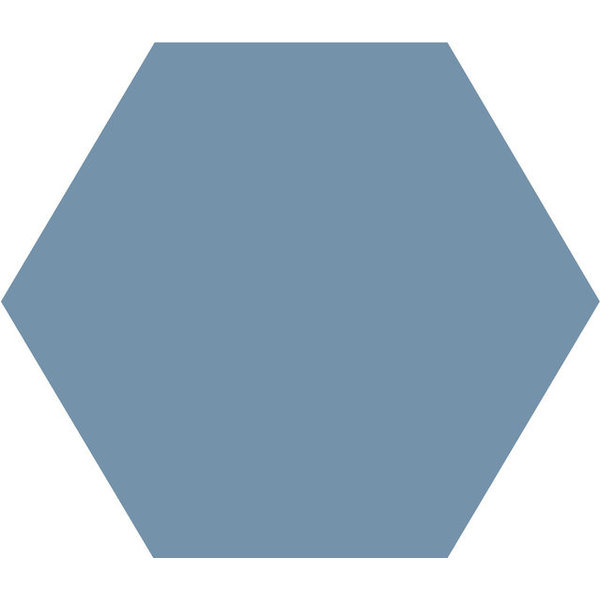 Winckelmans Hexagon 10 cm Bleu (BEU), 9 mm dik, afname per doos van 0,42 m²