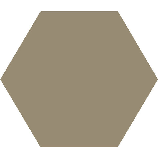Winckelmans Hexagon 10 cm Taupe (TAU), 9 mm dik, afname per doos van 0,42 m²