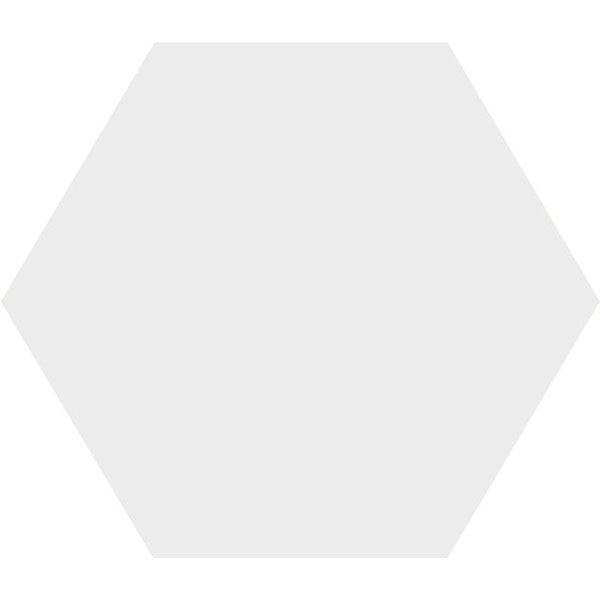 Winckelmans Hexagon 10 cm Superblanc (BAS), 9 mm dik, afname per doos van 0,42 m²