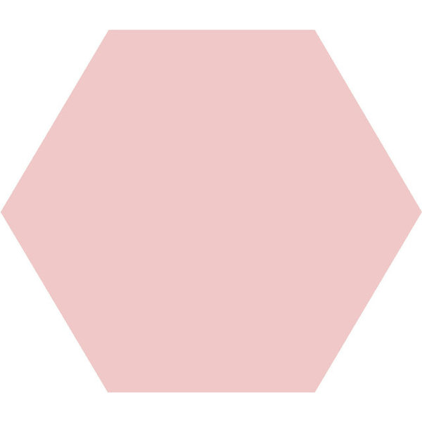 Winckelmans Hexagon 10 cm Rose (RSU), 9 mm dik, afname per doos van 0,42 m²