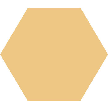 Winckelmans Hexagon 10 cm Cognac (COG), 9 mm dik a 0,42 m²