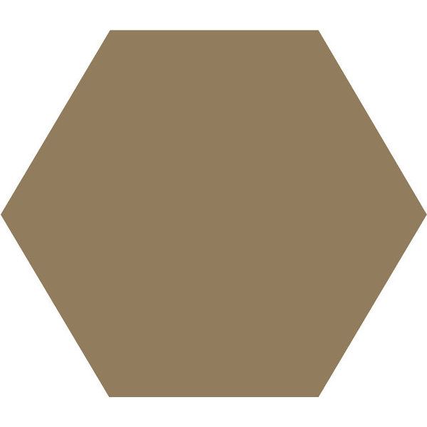 Winckelmans Hexagon 10 cm Cafe (CAF), 9 mm dik, afname per doos van 0,42 m²