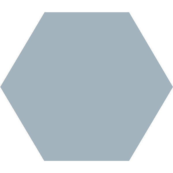 Winckelmans Hexagon 10 cm Bleu Pale (BEP), 9 mm dik, afname per doos van 0,42 m²