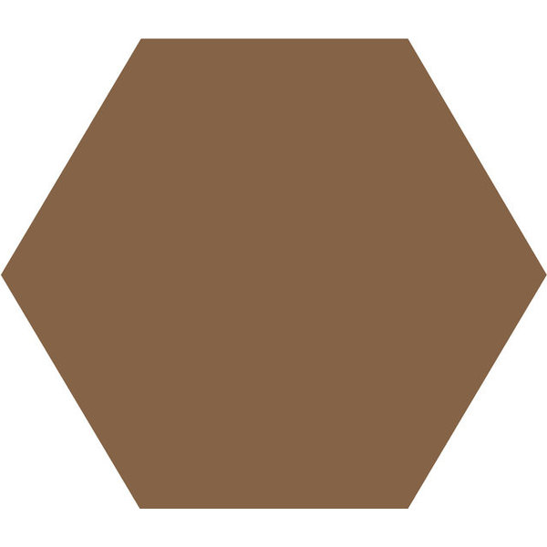 Winckelmans Hexagon 10 cm Havana (HAV), 9 mm dik, afname per doos van 0,42 m²