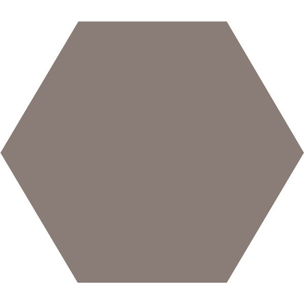 Winckelmans Hexagon 10 cm Gris (GRU), 9 mm dik, afname per doos van 0,42 m²