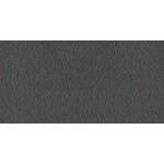 Mosa Core Collection Terra 30X60 203 Rl Zwart, afname per doos van 0,72 m²