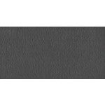 Mosa Core Collection Terra 30X60 203 Rl Zwart, afname per doos van 0,72 m²