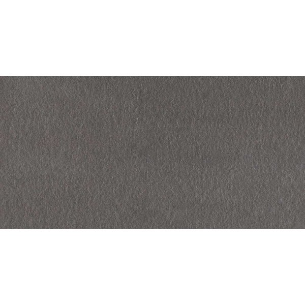 Mosa Core Collection Terra 30X60 216 Rl Antraciet, afname per doos van 0,72 m²